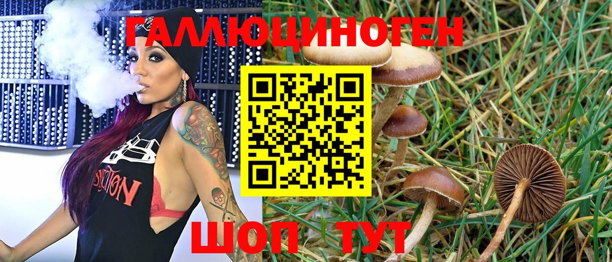 Галлюциногенные грибы Psilocybe  Вход с VPN  купить закладку  Чита 