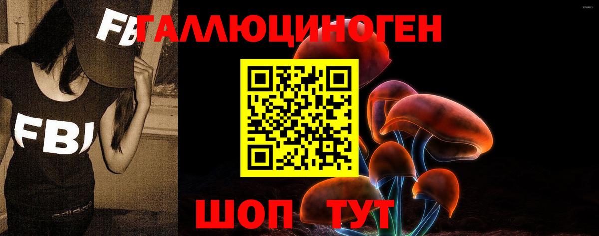 Галлюциногенные грибы GOLDEN TEACHER Чита